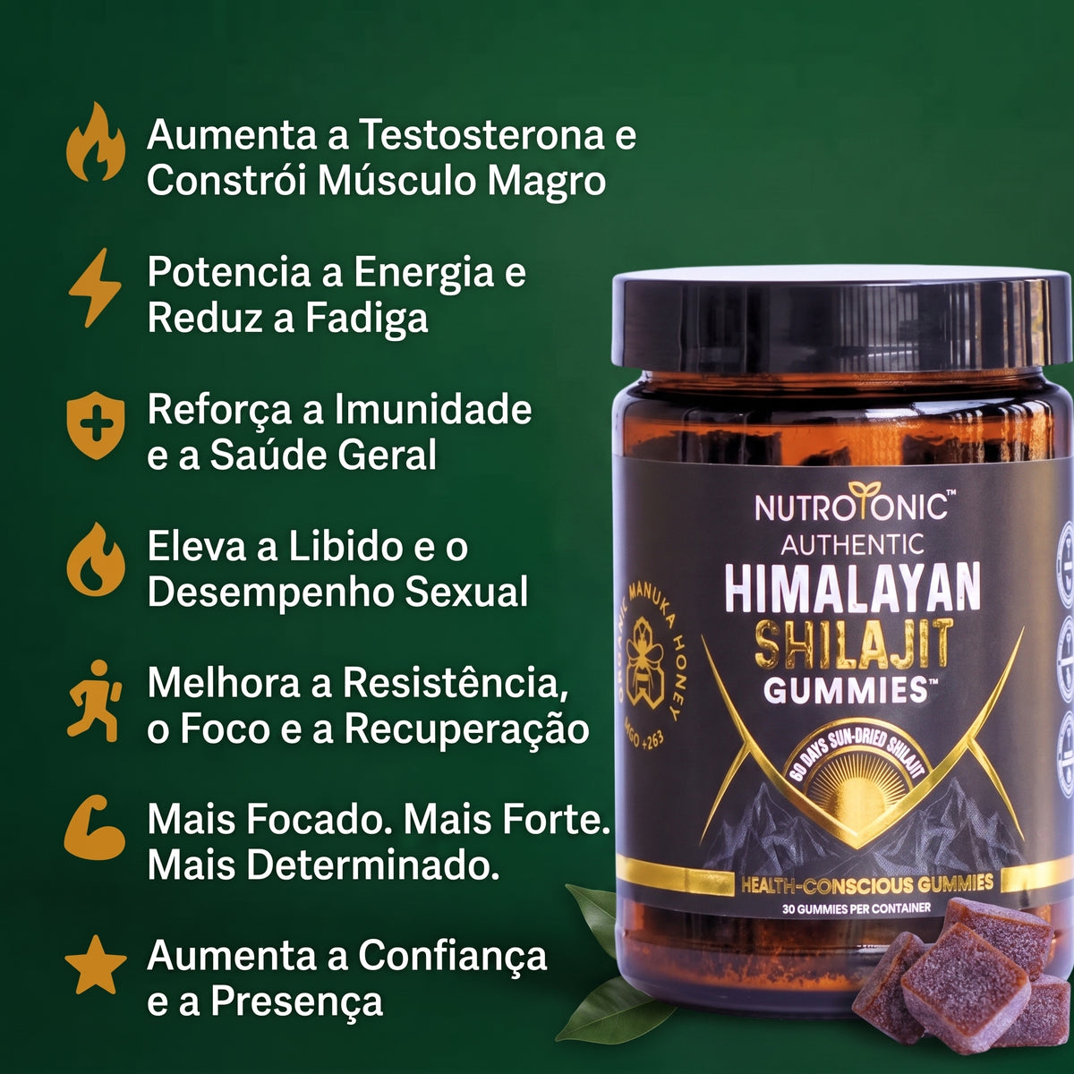 Authentic Himalayan Shilajit® Gummies
