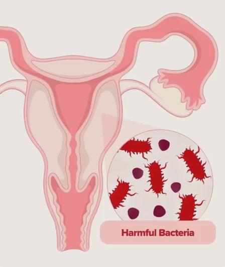 **URO® Probiótico Vaginal — O Seu Equilíbrio Íntimo, Todos os Dias**